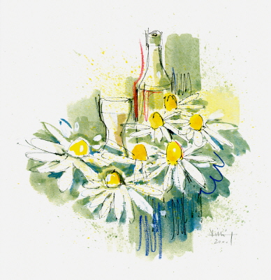 KAMILLENBLUMEN