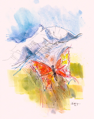 DER SCHMETTERLING