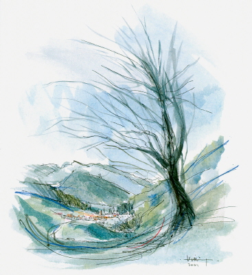 DIE EINSAME ARVE