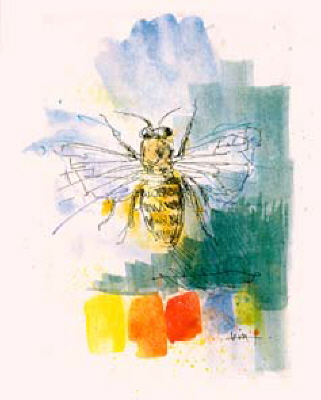 DIE WILDE BIENE