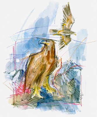 DER ALTE ADLER